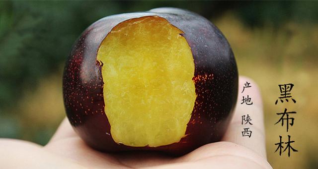 黑布林竟然是潜在的美容大师 常吃色斑去无踪_大粤网_腾讯网