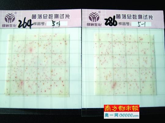 实验证明：筷子暴露3天后沸水冲过还是&ldquo;脏&rdquo;