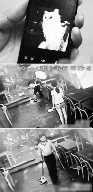 中学女老师虐杀猫事件昨日在广州中院终审