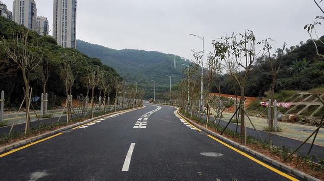 深圳莲塘尾片区市政道路工程(一期)完工