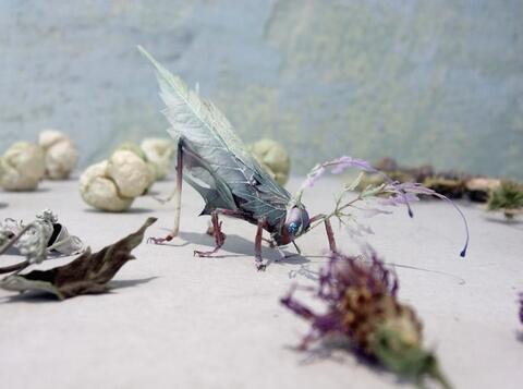 日本艺术家Hiroshi Shinno创作的仿真昆虫雕塑