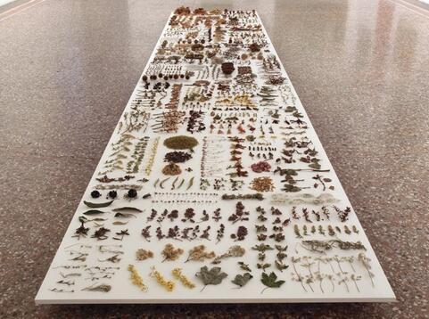 日本艺术家Hiroshi Shinno创作的仿真昆虫雕塑