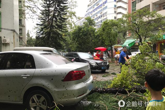 勇猛!珠海一对新人在台风天中举行婚礼