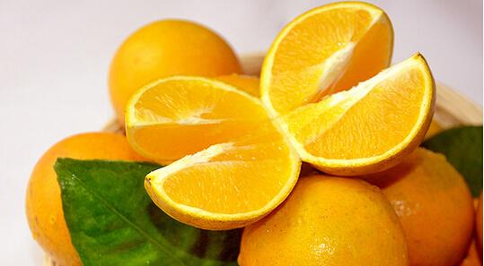 湖南冰糖橙征服吃货广东人