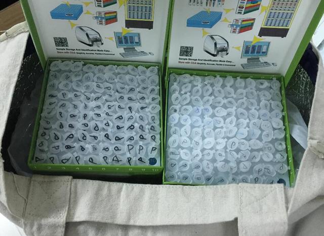 罗湖口岸查获千支出境肾透析液标本