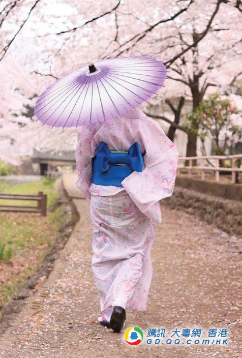 日本樱花季又来了!哪里赏樱好?