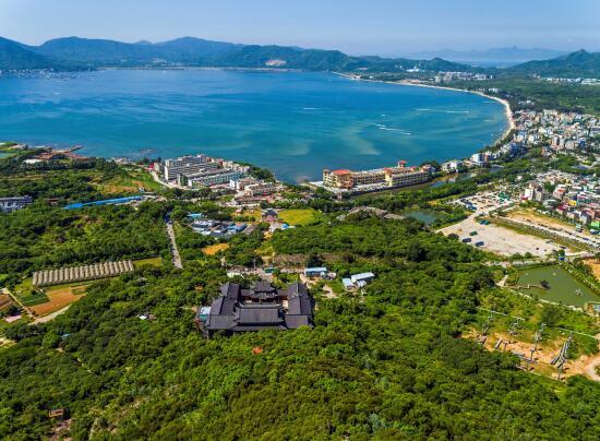 大鹏新区高质量美丽大鹏展览揭幕,人才活动缤