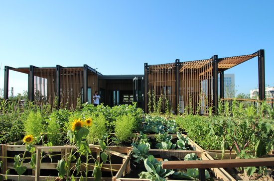 华南理工获2013中国国际太阳能十项全能竞赛亚军