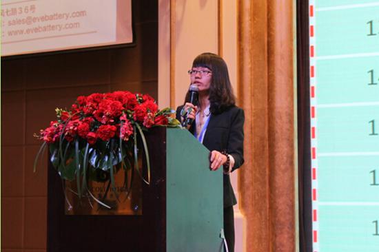 2015年中国新能源汽车高峰论坛盛大召开