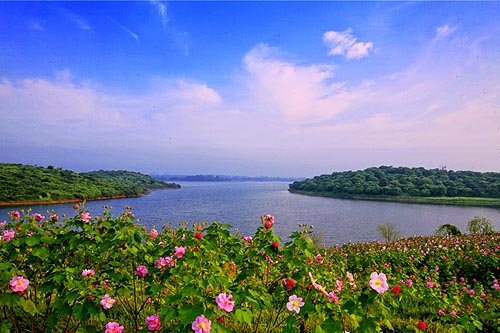 鹏城人家海鲜酒家_奕景海鲜酒家_南京夜泊秦淮酒家