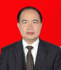 中共湛江市委常委,湛江经济技术开发区党委书记陈吴