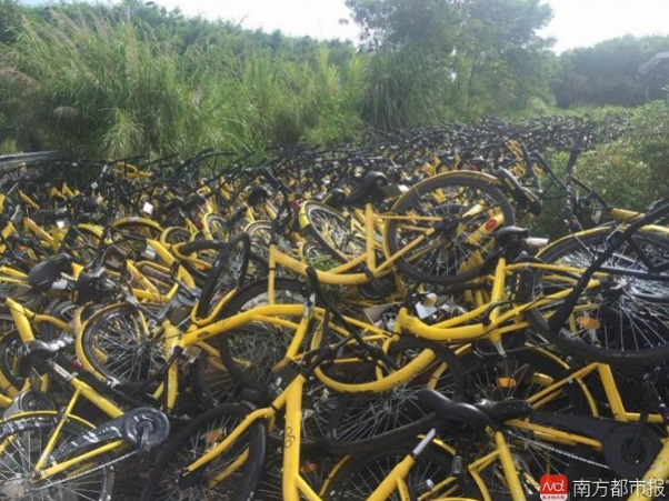 深圳一地鐵口出現(xiàn)大量共享單車亂停放 涉事公司被三次約談