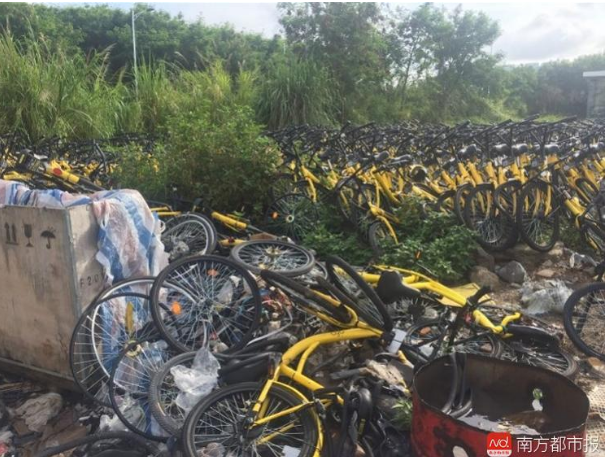 深圳一地鐵口出現(xiàn)大量共享單車亂停放 涉事公司被三次約談