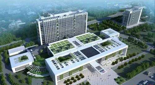 深圳技术大学(筹)正式发布今年招生方案