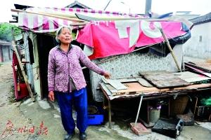 七旬老人養(yǎng)育女孩9年 汶川工作組抵莞幫助尋親