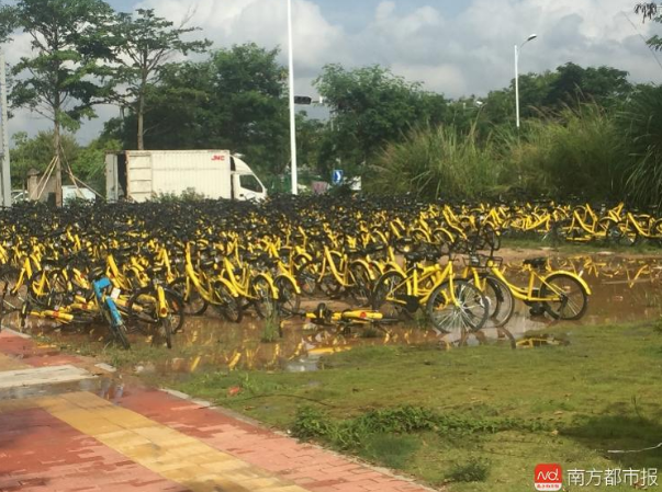 深圳一地鐵口出現(xiàn)大量共享單車亂停放 涉事公司被三次約談