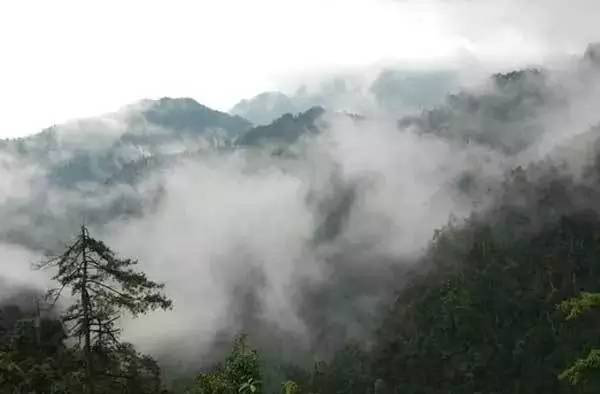 三八节广东各景区都有哪些优惠活动?