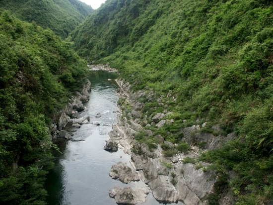 大坂营原始森林景区:大板营原始森林位于酉阳县木叶乡境内,与湖北平坝