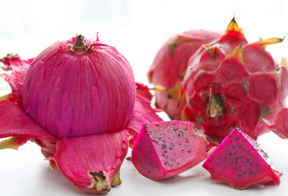 水果最好现摘现吃,盘点广州摘果好去处