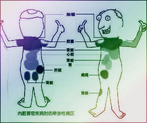 内脏器官对应疼痛图走红被封自诊宝典