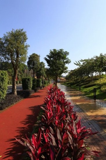 大运城邦绝版楼王:最值得买的资源型豪宅