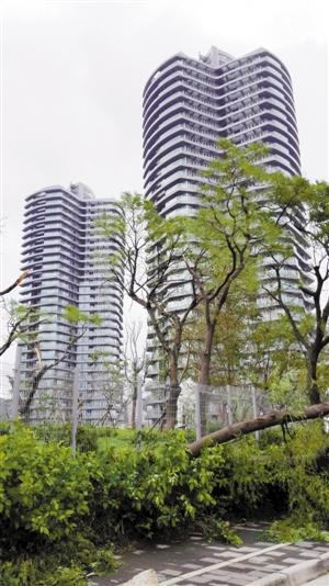 有一种麻烦叫去台湾买房 买房当心白花钱