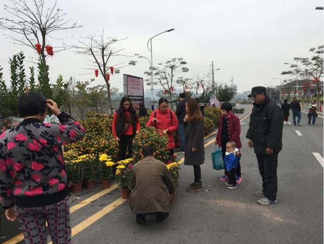 ������ӭ�´��������漯�п���