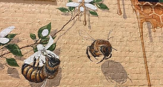 艺术家在世界各地画了五万只蜜蜂
