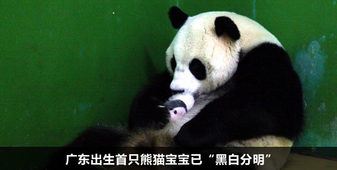 新闻日日睇-在线报料平台_腾讯·大粤网