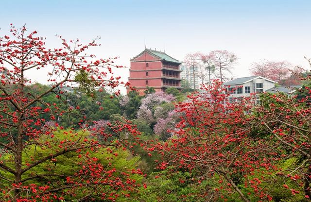 2017广州国际花卉艺术展暨世界花卉协会年会即将拉开帷幕