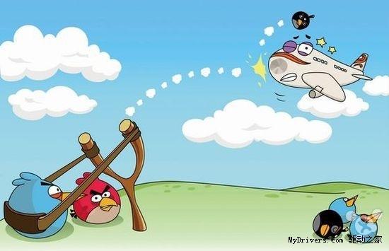 终于明白鸟儿为啥总撞飞机