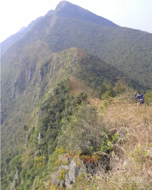 深圳竟有23座山之多,你去过几个?