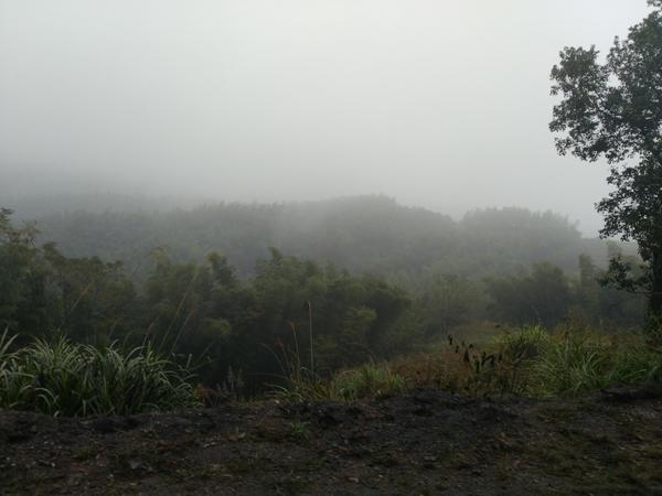 廣州打工男子7歲的女兒和5歲的兒子被殺 其妻有重大嫌疑