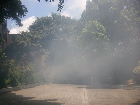 大烟雾排行_演练烟雾太大五名学生危重