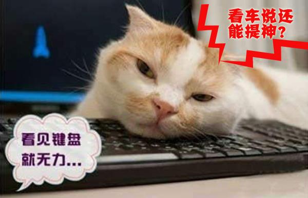 新车临牌要价5千成本才5块