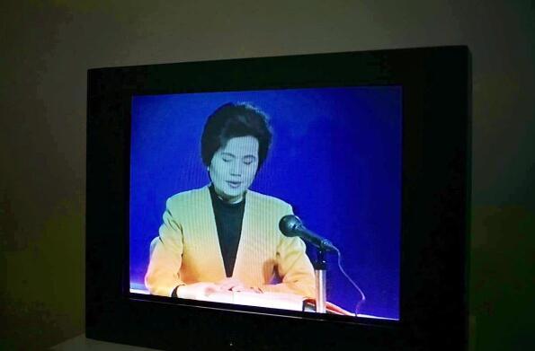 张培力芝加哥个展直面数字时代“复制”与“例(图9) 张培力芝加哥个展直面数字时代的“复制”与“例外”