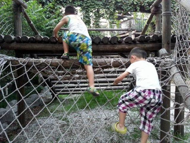 "亲子出游季"第一站_大粤网_腾讯网