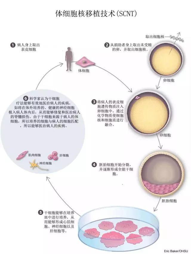 Kaiyun：一天4篇顶刊论文上海基础研究喜迎“开门红”