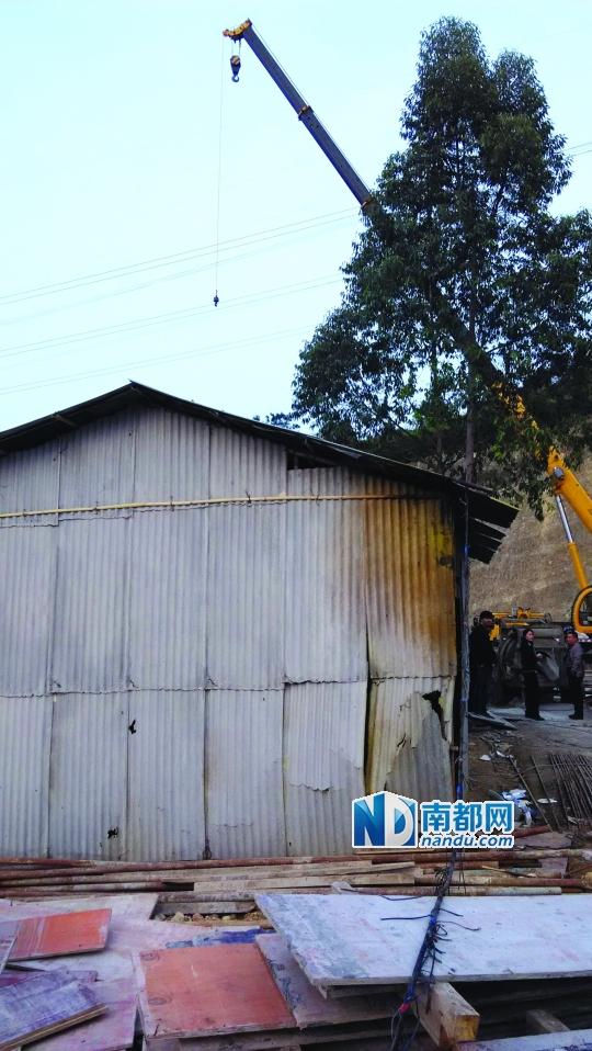 惠州一工人违规操作吊车被电伤
