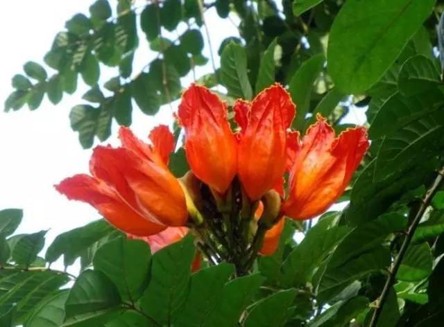 深圳网约车3分钟即停即走 明起违者即罚_大粤