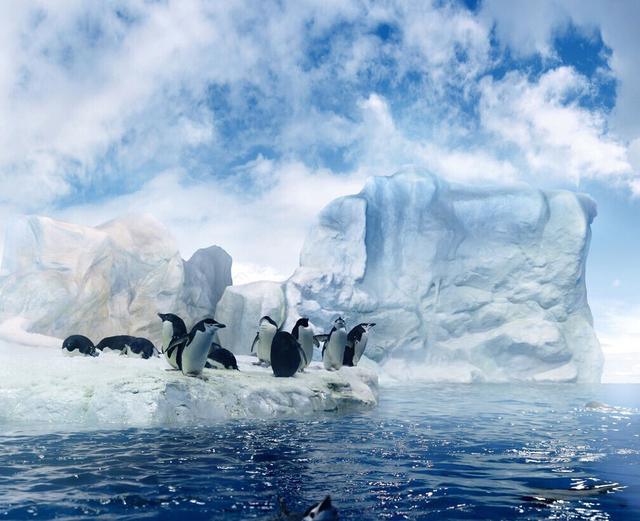 南极冰川不断消融+全球海平面或大幅上升
