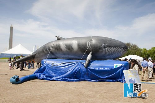 华盛顿举行世界地球日纪念活动