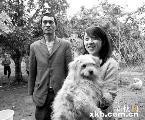 志愿者探望流浪狗(图)