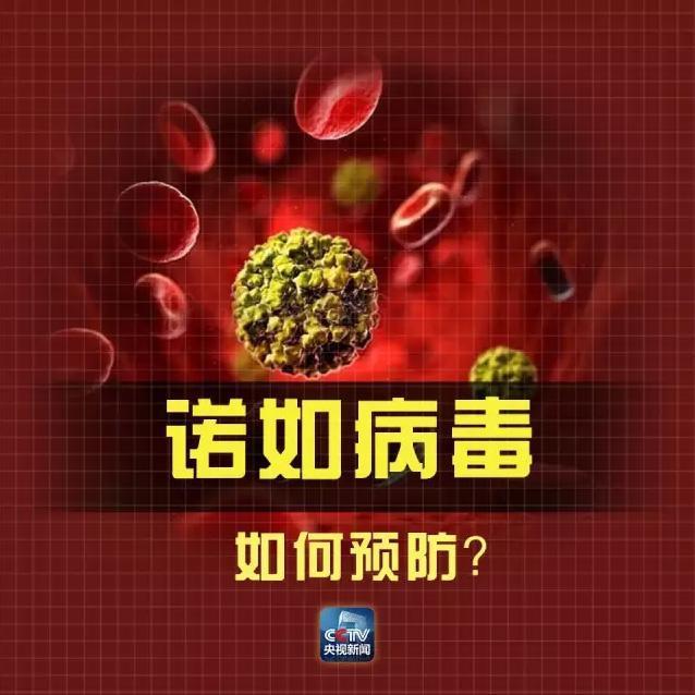上海一民办小学发生集体呕吐事件 检出诺如病毒
