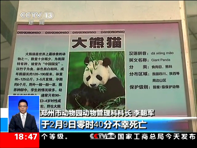 郑州死亡大熊猫曾被强逼“坐台” 