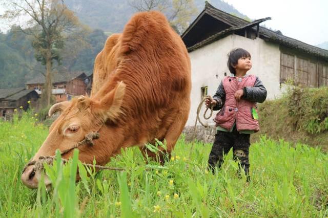 寻找孩子的天目:来平遥看西南大山里孩子们的影像