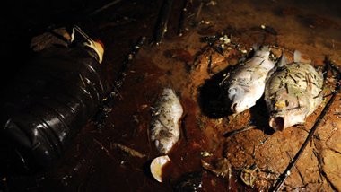 紫金矿业污染事件致居民无人敢使用自来水(图