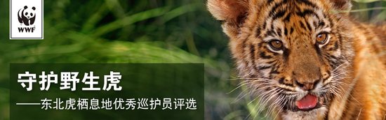 东北虎栖息地优秀巡护员评选活动方案