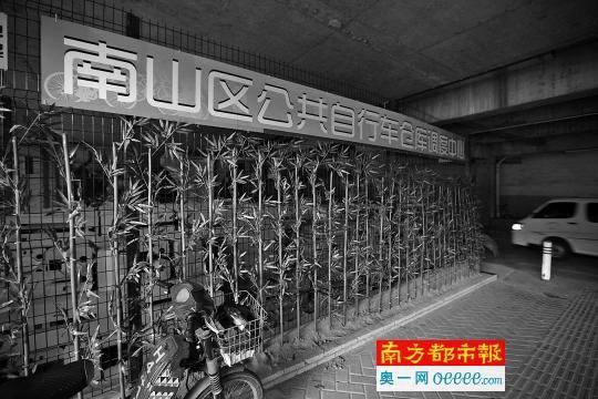 深圳千辆共享单车被锁在公共自行车仓库