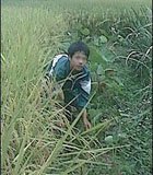 专题:大爱同行-广东关爱妇女儿童慈善汇活动